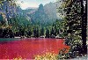 Lago di Tovel - Val di Non foto del 1964